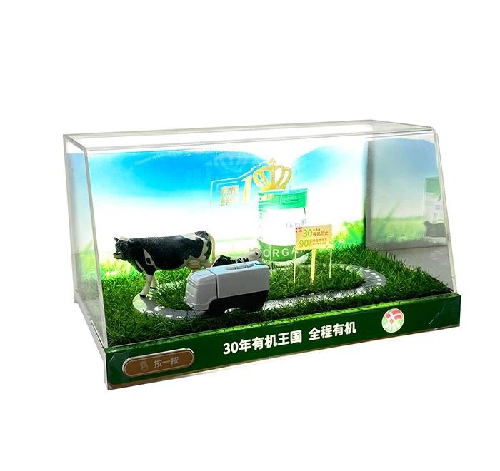 Light Transparent Acrylic Display Box With Base